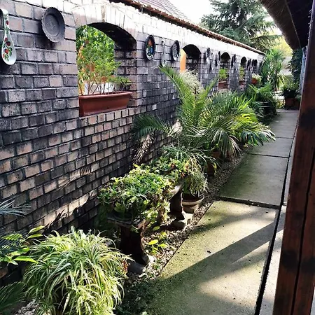 Tassi Halaszcsarda-harcsa Haz *